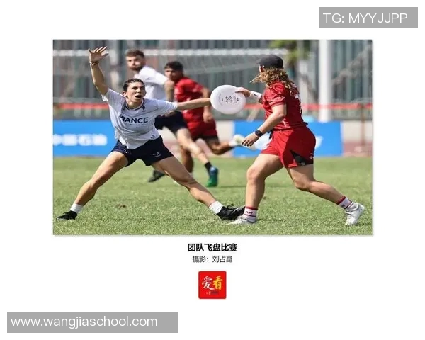 飞盘热潮席卷成都:从竞技到文化的意识转变与团队精神重塑