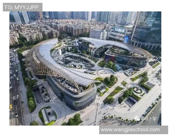 广州飞盘队的运营揭秘与发展策略分析深度探讨