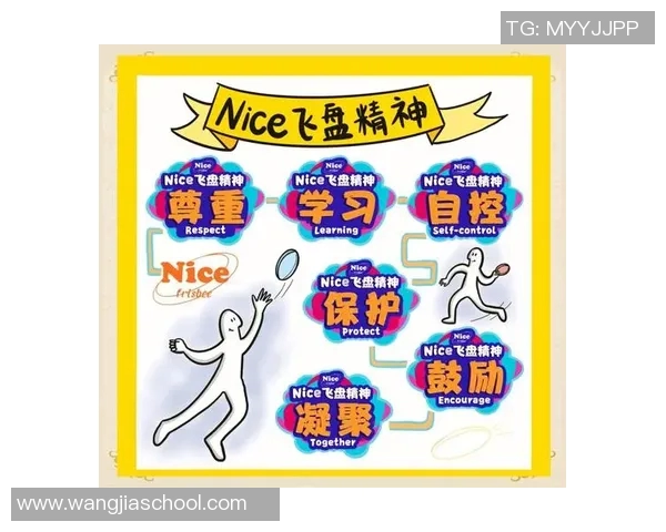 飞盘战术与团队协作：杭州飞盘队的成功运营模式探析