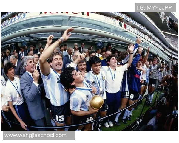 世界杯冠军荣耀之路:历史回顾与未来展望