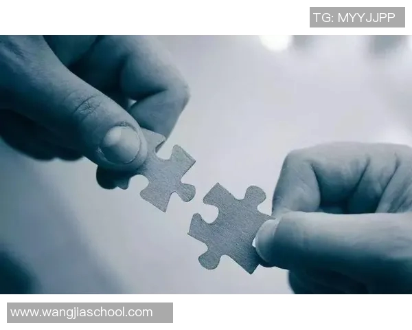 杭州攀岩队：个人能力提升与团队协作的完美结合探讨