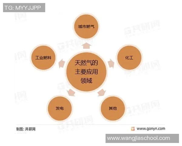 数据分析在液化天然气行业中的个人能力提升与表现研究