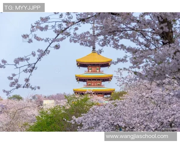 武汉旅游必去的十大景点推荐让你领略这座城市的魅力与风光