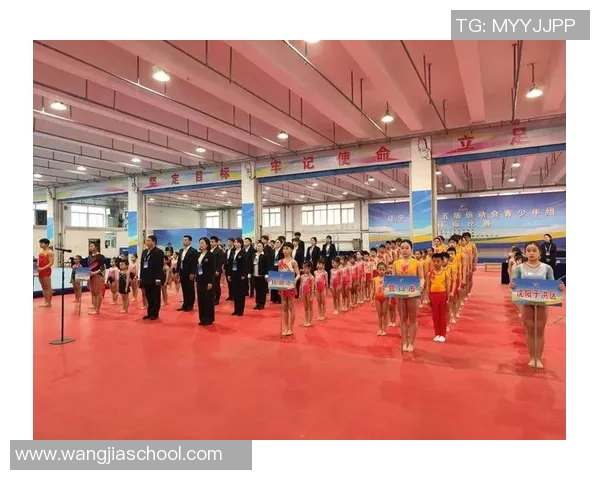 竞技体操协会推动竞技体操发展 提升青少年体育水平与竞技潜力