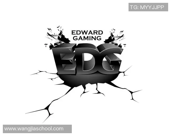 EDG团队协作引发热议专家解析CSGO战术配合的争议与挑战