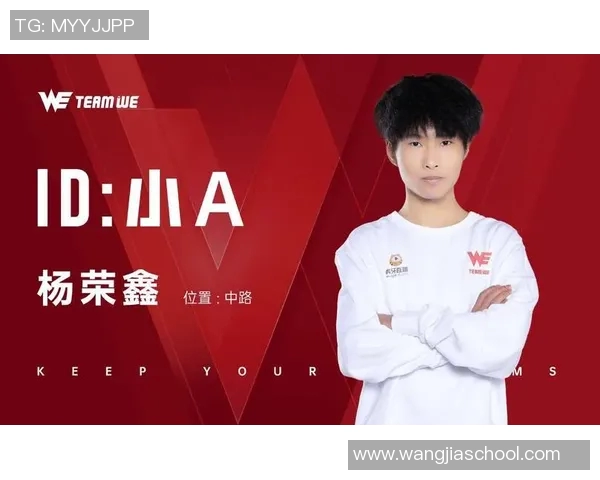 WE战队在冠军杯中的意识表现分析与战术解读