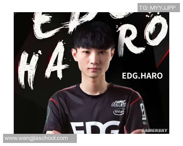 EDG战队实力引发热议玩家对其表现褒贬不一的背后原因分析